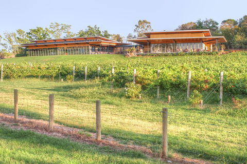 Yarra Valley Wine And Winery Tour From Melbourne - Nambucca Heads Accommodation 1