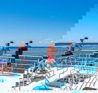 Calypso Outer Great Barrier Reef Cruise from Port Douglas - Nambucca Heads Accommodation