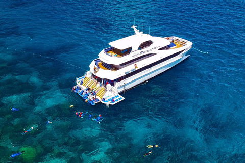 Great Barrier Reef Snorkeling And Diving Cruise From Cairns - Nambucca Heads Accommodation 5