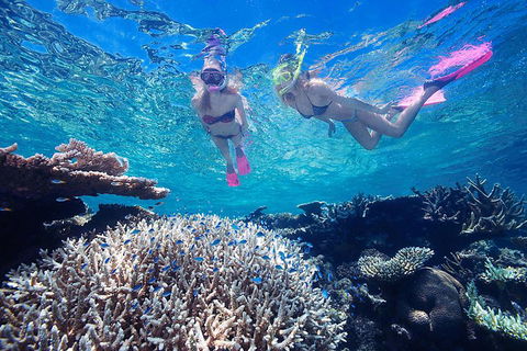 Great Barrier Reef Scenic Helicopter Tour And Cruise From Cairns - Nambucca Heads Accommodation 3