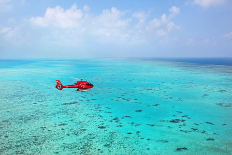 Port Douglas Scenic Flights - Nambucca Heads Accommodation 0