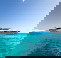 Fremantle to Rottnest Island Roundtrip Ferry Ticket - Nambucca Heads Accommodation