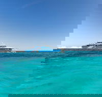 Rottnest Island Bayseeker Day Trip from Perth - Nambucca Heads Accommodation