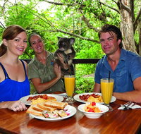 Breakfast with the Koalas at Hartley's Crocodile Park from Cairns or Palm Cove - Nambucca Heads Accommodation