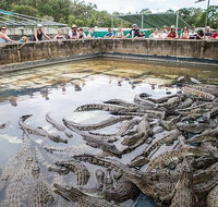 Hartley's Crocodile Adventures Day Trip from Cairns - Nambucca Heads Accommodation