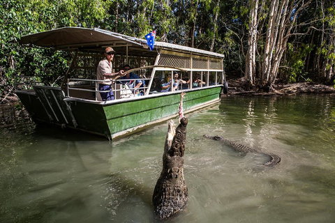 Hartley's Crocodile Adventures Day Trip From Palm Cove - Nambucca Heads Accommodation 2