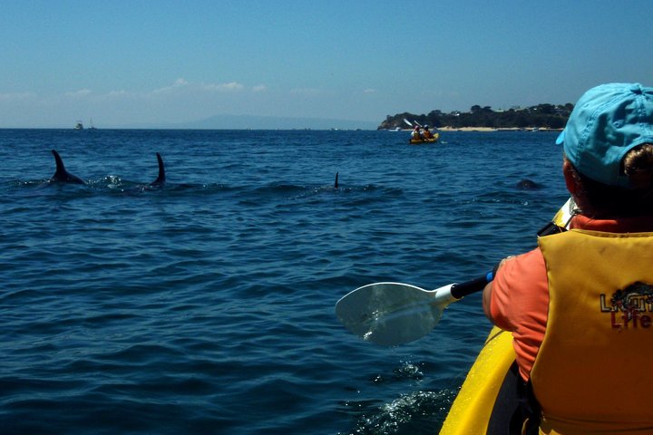 Nambucca Heads Accommodation