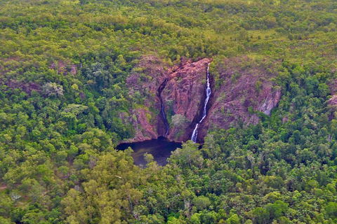 Litchfield Park Scenic Flight From Darwin - Nambucca Heads Accommodation 1