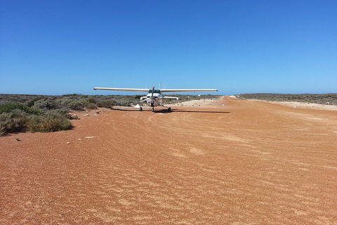 Abrolhos Islands Scenic Flight & Snorkel Adventure From Perth - Nambucca Heads Accommodation 3