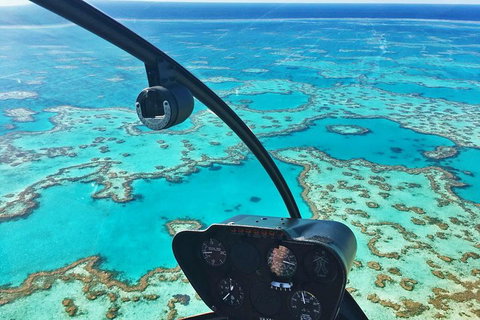 Reef & Whitehaven Landing - Nambucca Heads Accommodation 1