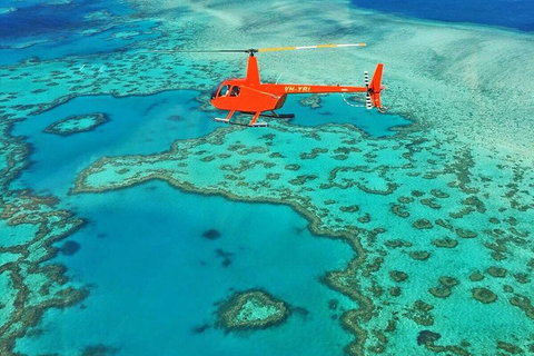 Reef & Whitehaven Landing - Nambucca Heads Accommodation 4