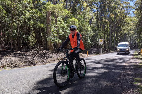 Mount Wellington Descent Cycling Tour Departs Hobart - Nambucca Heads Accommodation 3