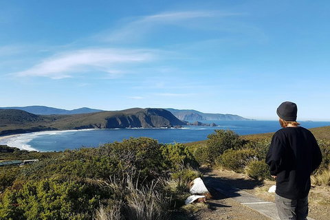 Small-Group Day Trip From Hobart To Bruny Island - Nambucca Heads Accommodation 0
