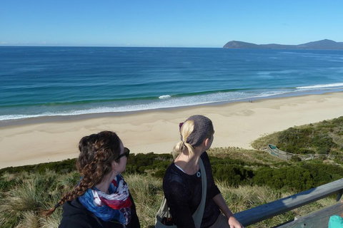 Small-Group Day Trip From Hobart To Bruny Island - Nambucca Heads Accommodation 3