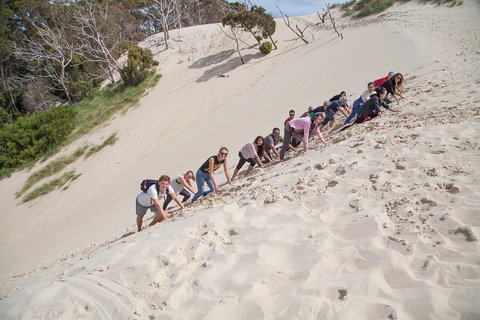 6-Day Tasmanian Explorer Adventure Tour From Hobart - Nambucca Heads Accommodation 2