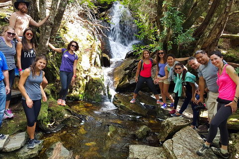 7-Day Super Value Tour Of Tasmania: Explore Tasmania's West And East Coasts - Nambucca Heads Accommodation 2