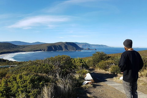 4-Day Fabulous Tasmania Tour: Wineglass Bay, Port Arthur, Devils & Bruny Island - Nambucca Heads Accommodation 0