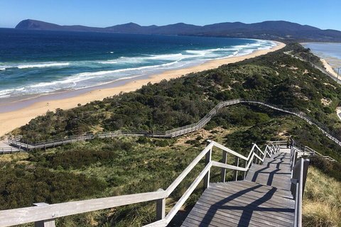 4-Day Fabulous Tasmania Tour: Wineglass Bay, Port Arthur, Devils & Bruny Island - Nambucca Heads Accommodation 5