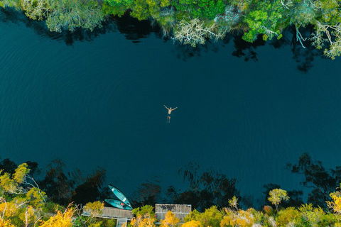 Cruise 'n' Canoe To Australia's Everglades - Nambucca Heads Accommodation 2