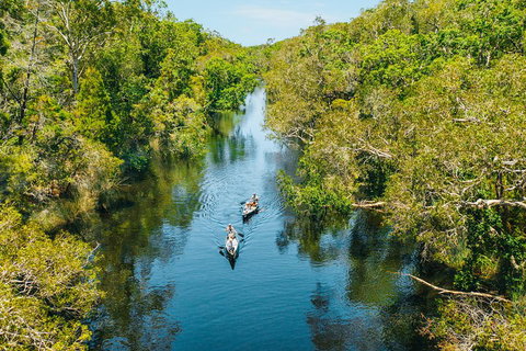 Cruise 'n' Canoe To Australia's Everglades - Nambucca Heads Accommodation 3
