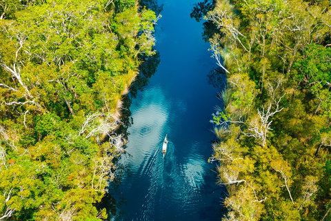 Cruise 'n' Canoe To Australia's Everglades - Nambucca Heads Accommodation 4