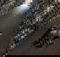 Wirra Wirra Vineyard McLaren Vale Winery Tour and Shiraz Masterclass - Nambucca Heads Accommodation