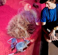 Alice Springs Desert Park General Entry Ticket - Nambucca Heads Accommodation
