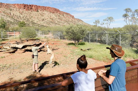 Alice Springs Desert Park General Entry Ticket - Nambucca Heads Accommodation 4