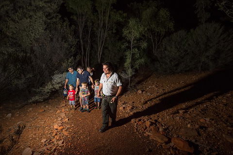 Alice Springs Desert Park Nocturnal Tour - Nambucca Heads Accommodation 0