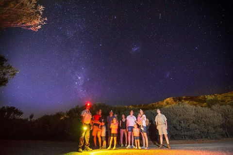 Alice Springs Desert Park Nocturnal Tour - Nambucca Heads Accommodation 2