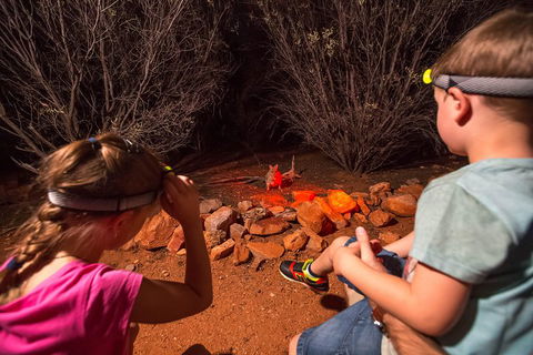 Alice Springs Desert Park Nocturnal Tour - Nambucca Heads Accommodation 4