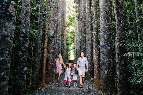 The Original Day Tour To Paronella Park, Lake Barrine And Millaa Millaa Falls - Nambucca Heads Accommodation 1
