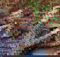 Private Tour Blue Mountains Day Trip from Sydney - Nambucca Heads Accommodation