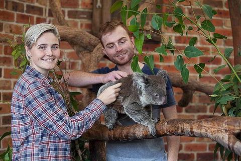 Private Tour: Blue Mountains Day Trip From Sydney - Nambucca Heads Accommodation 0