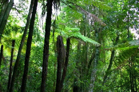 Private Tour: Blue Mountains Day Trip From Sydney - Nambucca Heads Accommodation 4