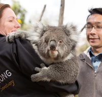 Bonorong Wildlife Park and Richmond Afternoon Tour from Hobart - Nambucca Heads Accommodation