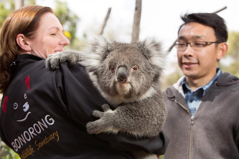 Bonorong Wildlife Park And Richmond Afternoon Tour From Hobart - Nambucca Heads Accommodation 0