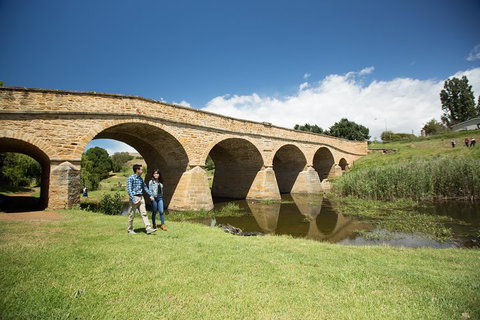 Bonorong Wildlife Park And Richmond Afternoon Tour From Hobart - Nambucca Heads Accommodation 2