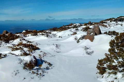 Mount Wellington Ultimate Experience Tour From Hobart - Nambucca Heads Accommodation 1