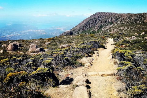 Mount Wellington Ultimate Experience Tour From Hobart - Nambucca Heads Accommodation 5