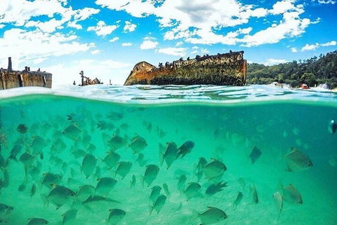 Adventure Moreton Island Day Pass - Nambucca Heads Accommodation 4