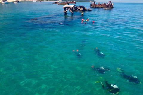 Adventure Moreton Island Scuba Dive Tour - Nambucca Heads Accommodation 0