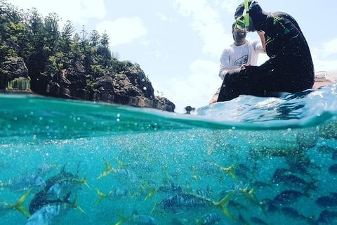 2 Night Small Group Whitsundays Sailing Adventure Aboard Mandrake - Nambucca Heads Accommodation 5