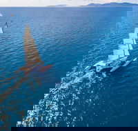 2-Night Whitsunday Islands Sailing Adventure on Trimaran Avatar - Nambucca Heads Accommodation