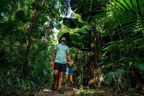 Full Day Daintree Rainforest And Mossman Gorge Tour - Nambucca Heads Accommodation 0