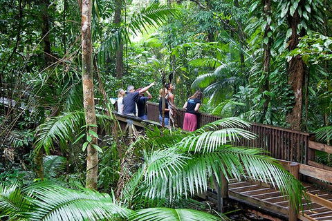 Full Day Daintree Rainforest And Mossman Gorge Tour - Nambucca Heads Accommodation 1