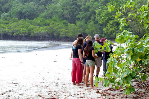 Full Day Daintree Rainforest And Mossman Gorge Tour - Nambucca Heads Accommodation 2