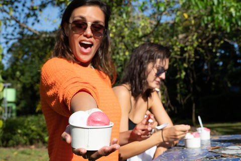 Full Day Daintree Rainforest And Mossman Gorge Tour - Nambucca Heads Accommodation 3