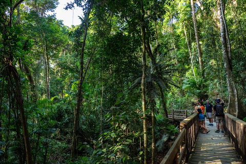 Full Day Daintree Rainforest And Mossman Gorge Tour - Nambucca Heads Accommodation 5