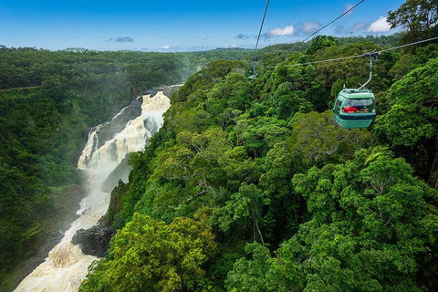 Cairns ATV Adventure Tour And Morning Skyrail - Nambucca Heads Accommodation 3